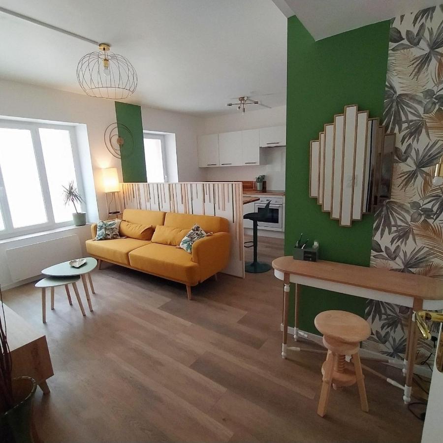 Magnifique T3 Centre Ville Avec Wifi Rdc Limoux Dış mekan fotoğraf